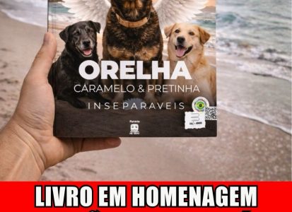 A história do cão comunitário Orelha, figura querida da Praia Brava e que marcou muitas vidas, e